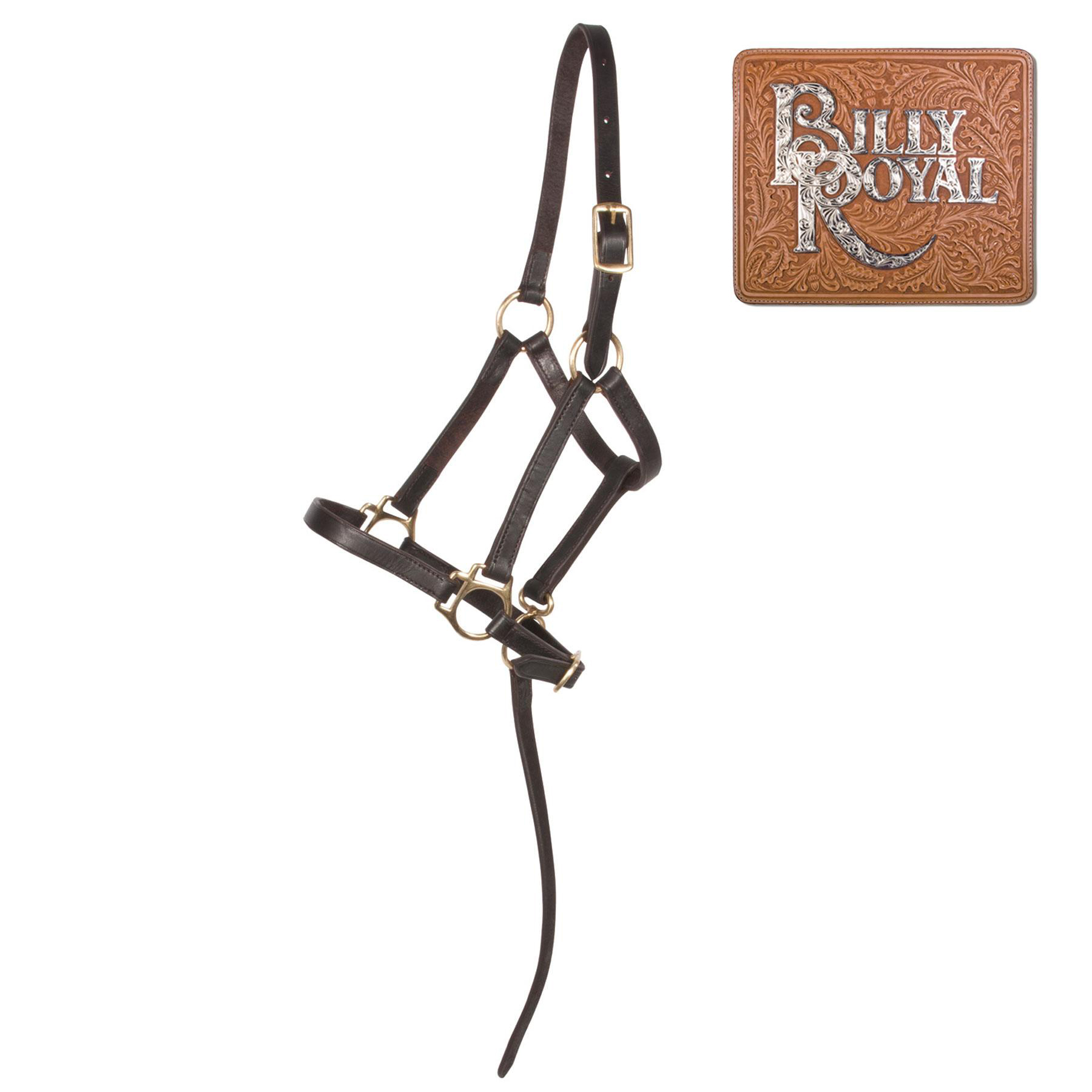ai01623-Leather-Foal Halter-Weanling-Billy-Royal