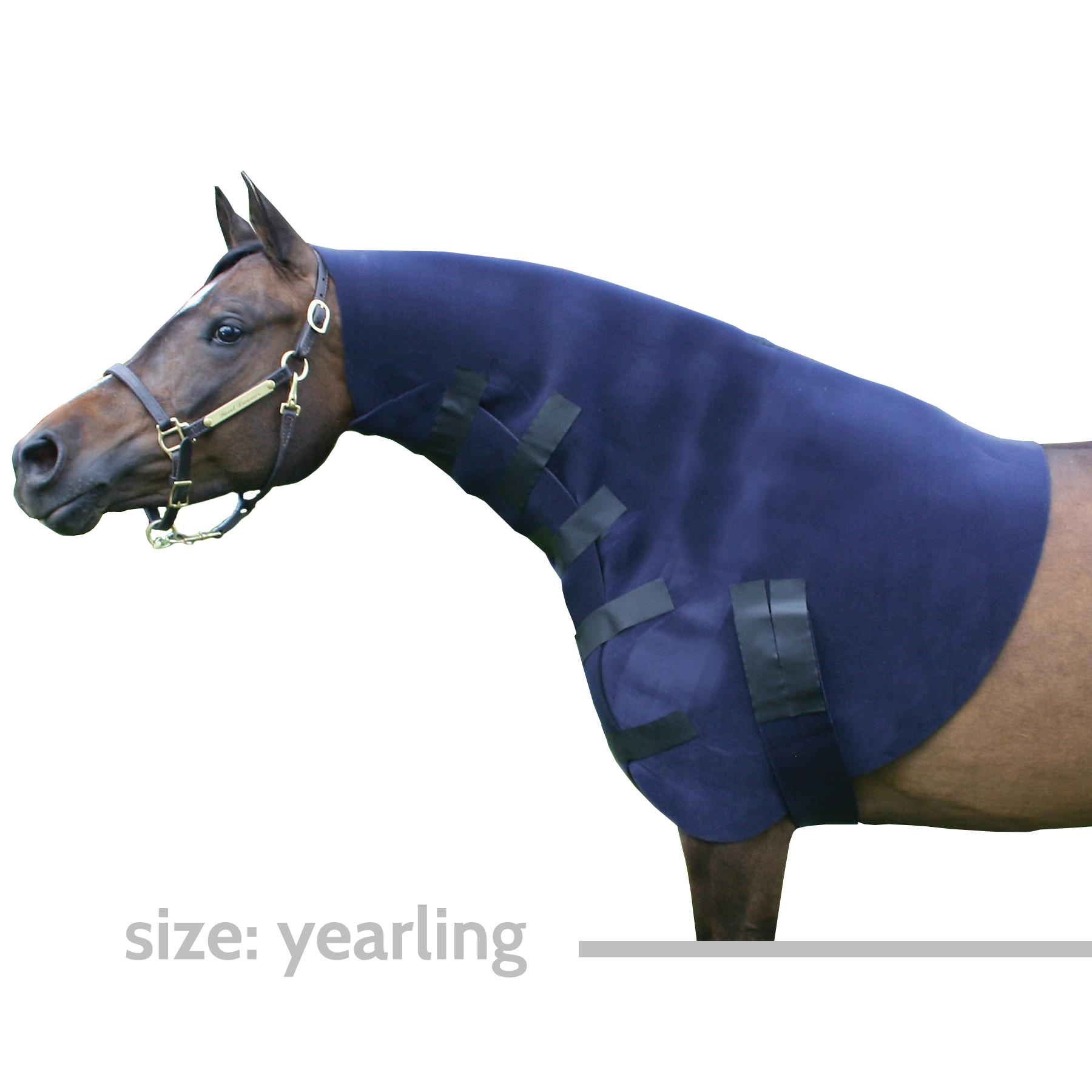 Tough 1 10" neoprene neck sweat horse tack equine 65-8918 
