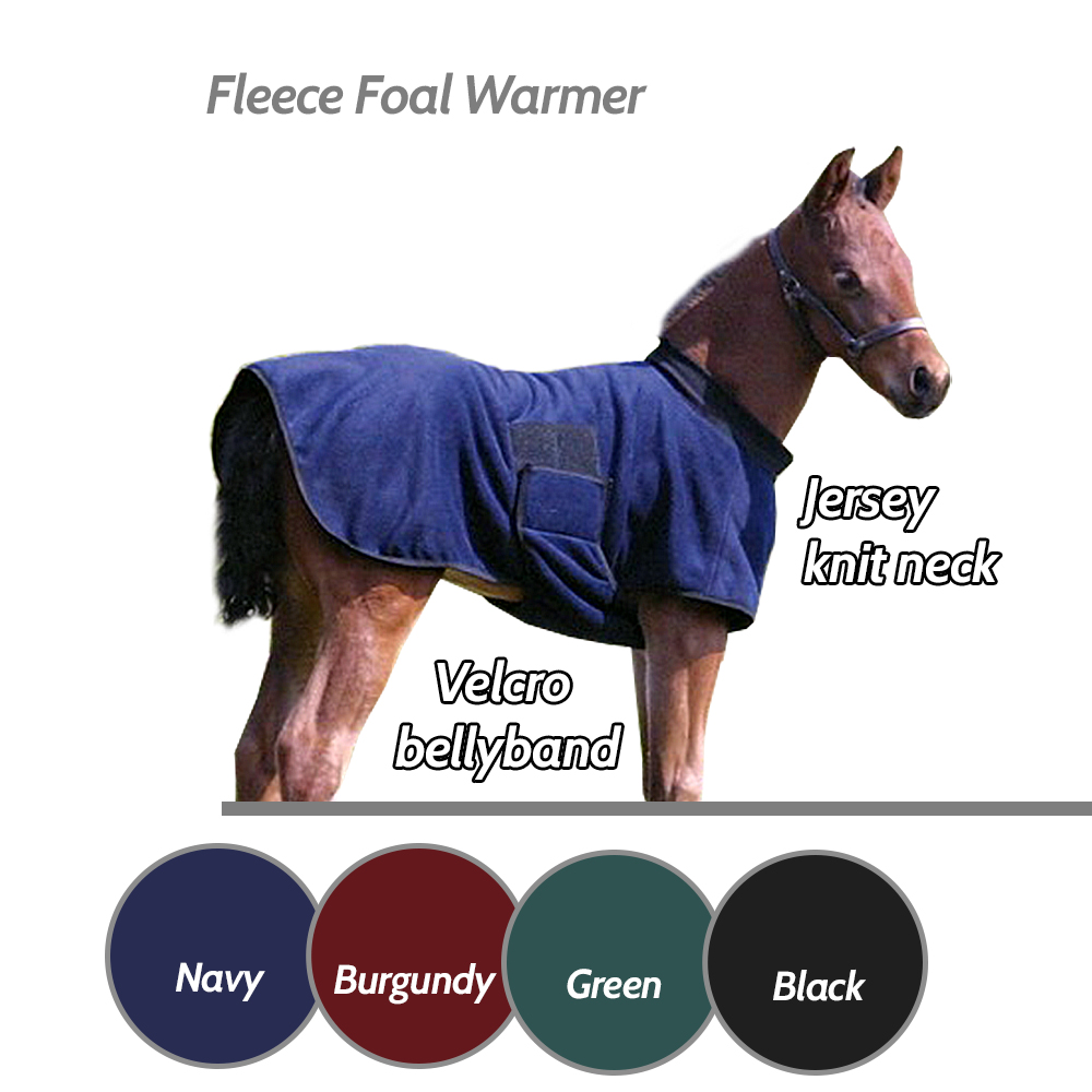 ai16437-Fleece-Foal-Warmer