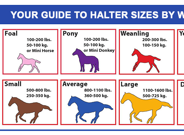 Hamilton Halter Size Chart