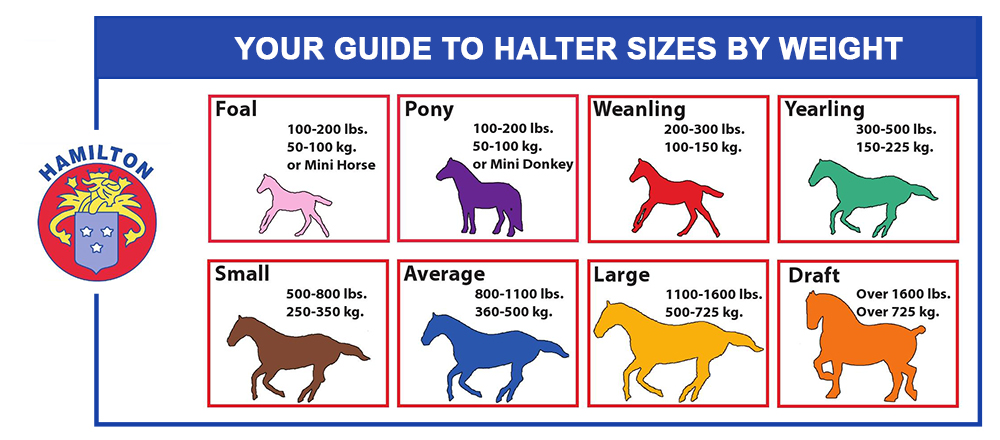 NEW Hamilton Breakaway / Safety Halter Blue 1100-1600 lb Horse Size 
