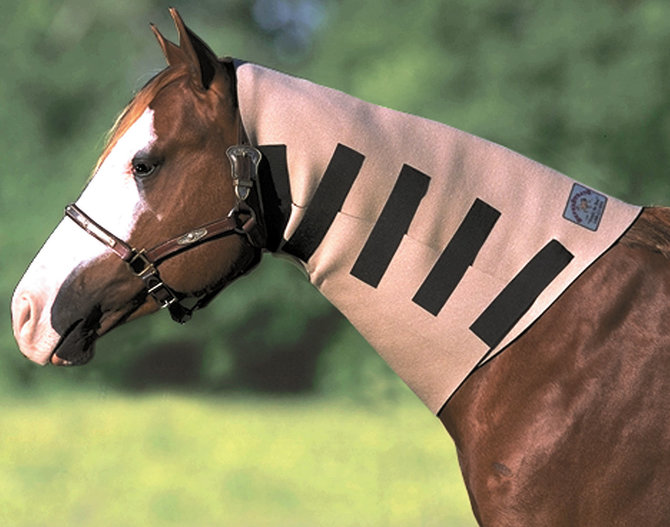 Miniature Horse Neoprene Neck and Shoulder Sweat 